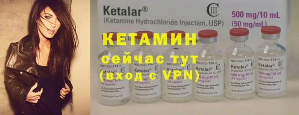 прущие грибы Пестово