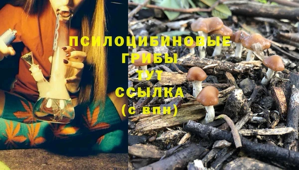 ешки Балахна
