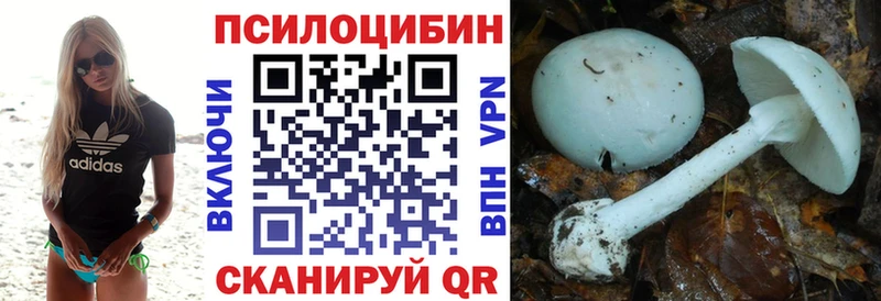 магазин наркотиков Белоусово ссылка на мегу зеркало Псилоцибиновые грибы Magic Shrooms